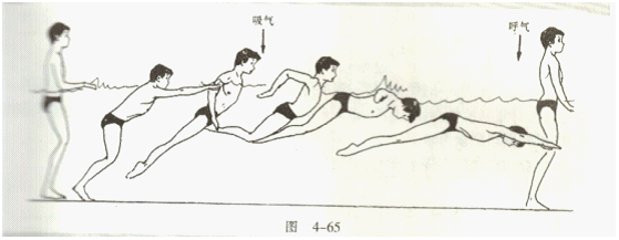 如何才能练好蝶泳腿-我是男的.18岁了.开始练蝶